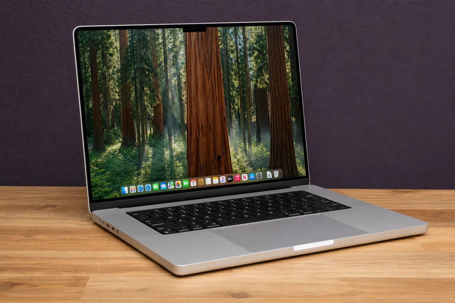 Laptop Repair